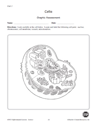 Parts of a Cell Labeling Assessment 5th Grade Science Worksheet