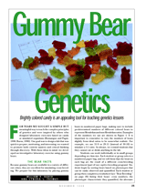 Gummy Bear Genetics TeacherVision