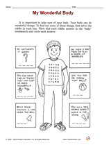 human body worksheet for elementary students teachervision
