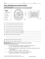 Life Science Test Cell Structure And Function Printable 6th 12th Grade Teachervision