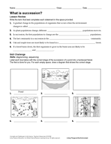 primary and secondary succession worksheet