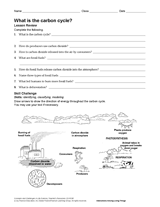 What Is the Carbon Cycle? Science Printable (6th 12th Grade