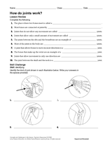 How Do Joints Work? Human Body Science Printable (6th-12th ...