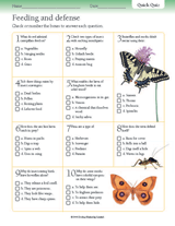 Quick Quizzes Insect Feeding And Defense Printable Quiz Gr 3 6 Teachervision