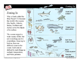 ocean zones mini lesson earth science slideshow activities grades