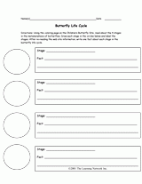 Butterfly Life Cycle Worksheet - TeacherVision