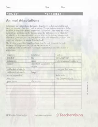 Download Animals Printables Lessons And Activities Grades K 12 Teachervision