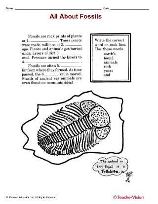 Dinosaurs Printables Lesson Plans And Activities Teachervision