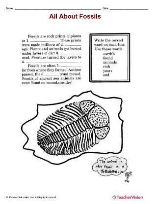 Layers Of The Earth Worksheet 2nd Grade - The Earth Images Revimage.Org