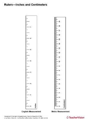 rulers inches and centimeters teachervision