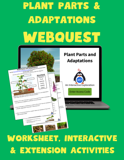 Parts of a Plant Worksheet & Webquest Bundle