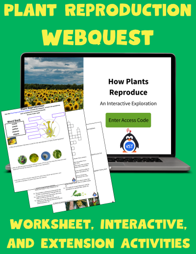 Plant Reproductive Parts Webquest Bundle