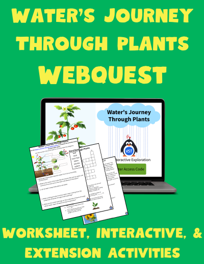 Water’s Journey Through Plants Worksheet & Interactive Webquest Bundle