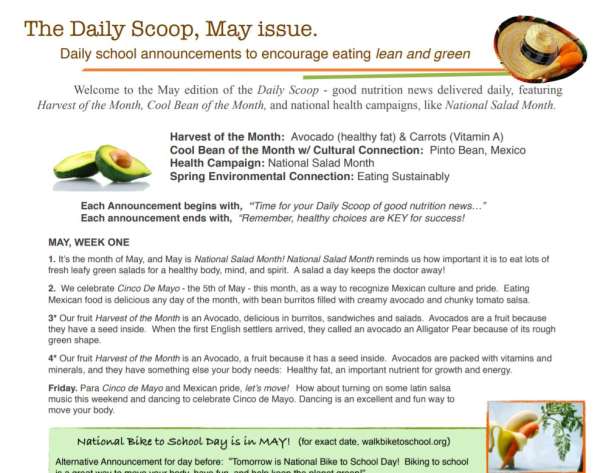 scoop, Definition from the Food topic