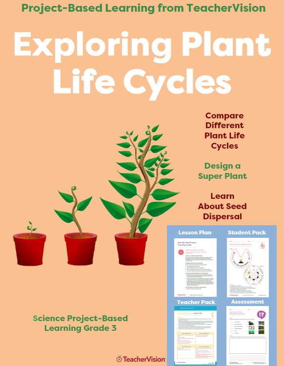 plant-life-cycle-stages-3rd-grade-science-pbl-teachervision