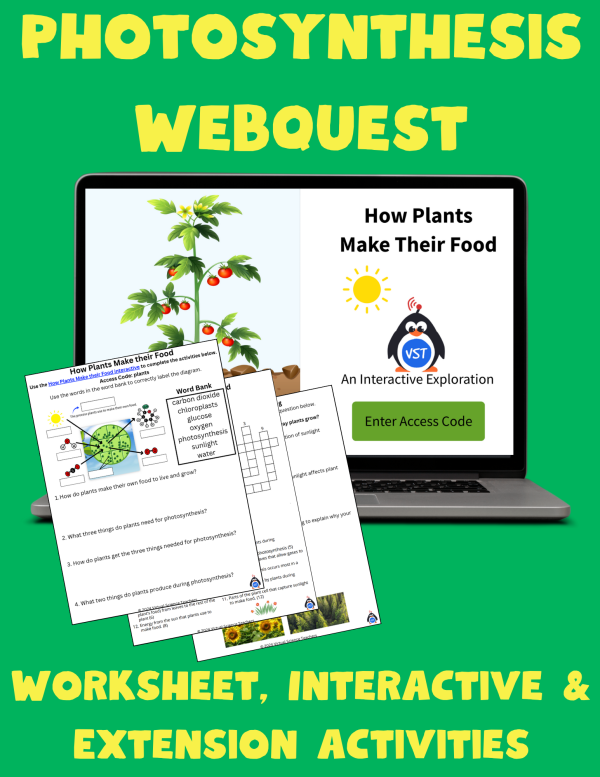 Photosynthesis Worksheet & Webquest Bundle