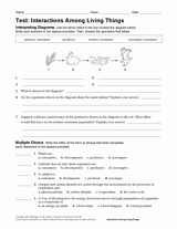 Animal Adaptations Lessons Printables Activities K 12 Teachervision