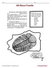 All About Fossils - TeacherVision