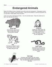 Endangered Animals Printable (1st - 3rd Grade) - TeacherVision