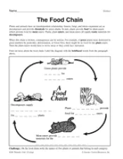 Food Chain Diagram - TeacherVision