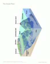 The Ocean Floor Printable 6th 12th Grade Teachervision