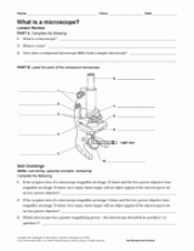 Microscope Use Worksheet Answers - Micropedia