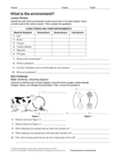 what is the environment earth science printable 6th 12th grade