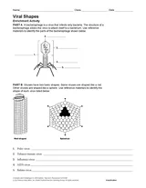 HIV and AIDS - TeacherVision