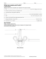 Gardening Worksheets, Lessons & Activities - TeacherVision