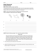 gardening worksheets lessons activities teachervision