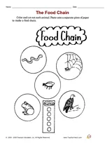 The Food Chain -- Cut and Paste Printable (2nd Grade) - TeacherVision